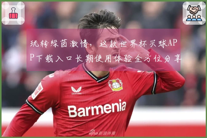 玩转绿茵激情,这款世界杯买球APP下载入口长期使用体验全方位分享