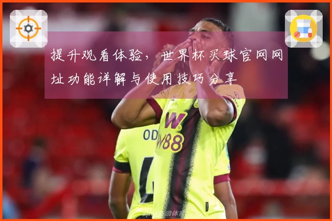 提升观看体验，世界杯买球官网网址功能详解与使用技巧分享