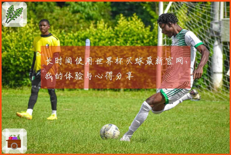 长时间使用世界杯买球最新官网，我的体验与心得分享