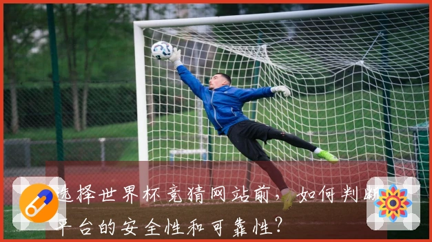 选择世界杯竞猜网站前，如何判断平台的安全性和可靠性？
