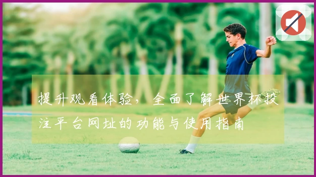 提升观看体验，全面了解世界杯投注平台网址的功能与使用指南