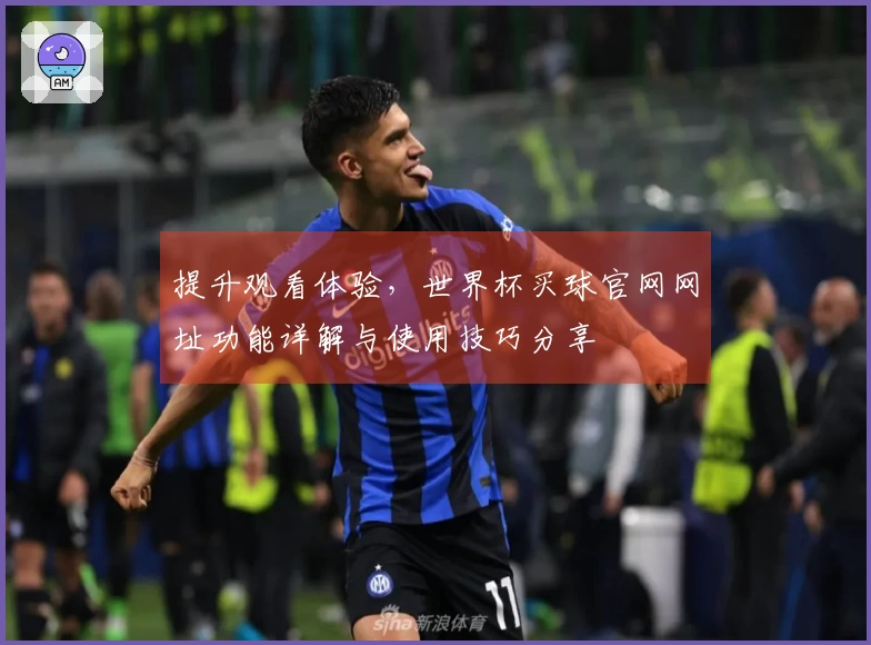 提升观看体验,世界杯买球官网网址功能详解与使用技巧分享