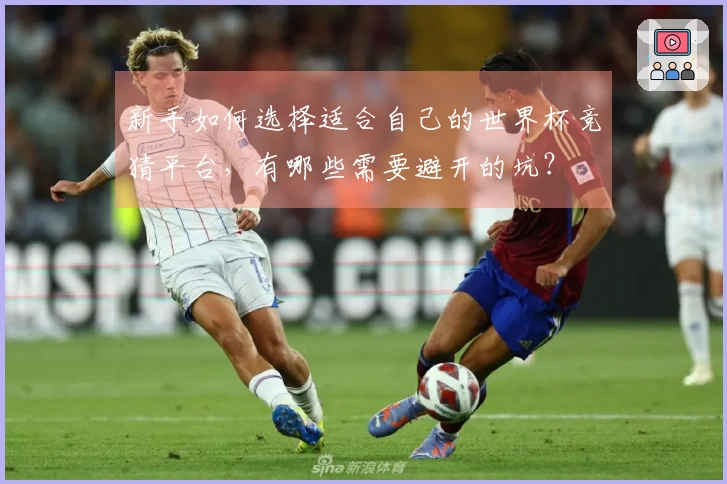 新手如何选择适合自己的世界杯竞猜平台，有哪些需要避开的坑？