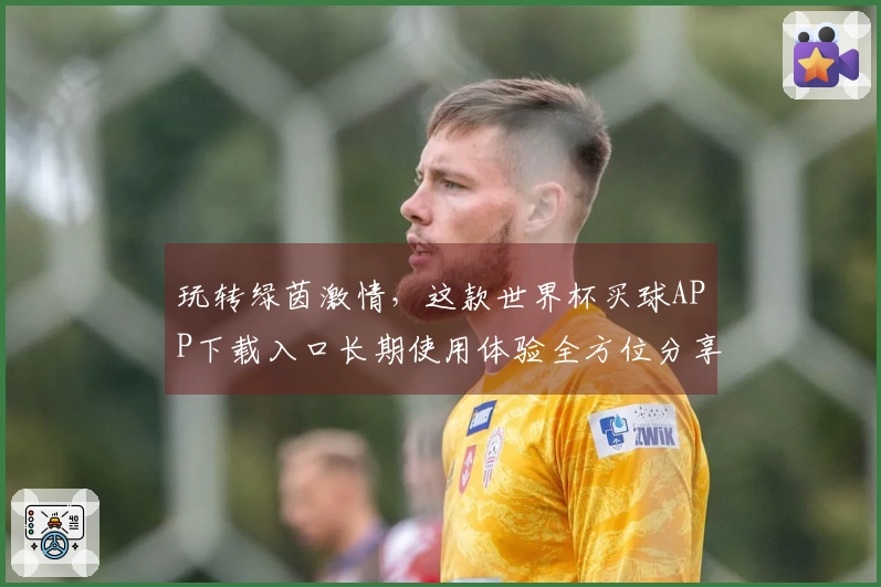 玩转绿茵激情，这款世界杯买球APP下载入口长期使用体验全方位分享